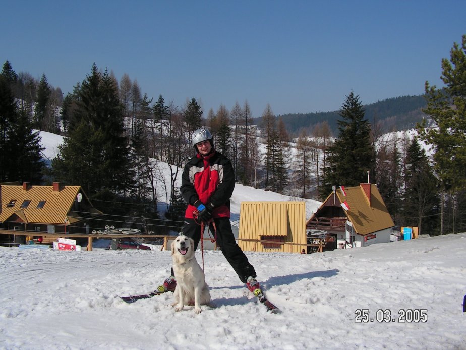 PICT0006.JPG.medium